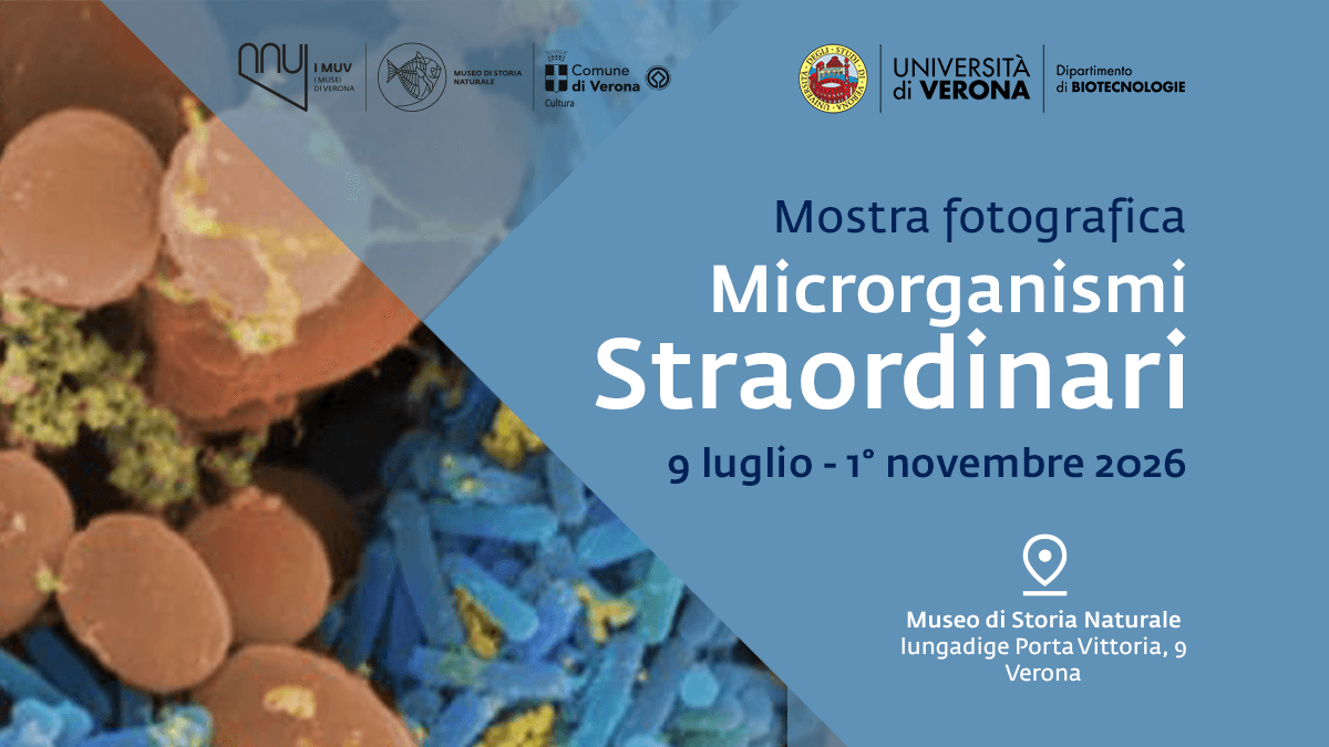 "MICRORGANISMI STRAORDINARI": MOSTRA FOTOGRAFICA AL MUSEO DI STORIA NATURALE — mostre a Verona